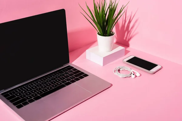 Minimal pink desk setup with laptop and plant representing calm content creation and intentional work routines