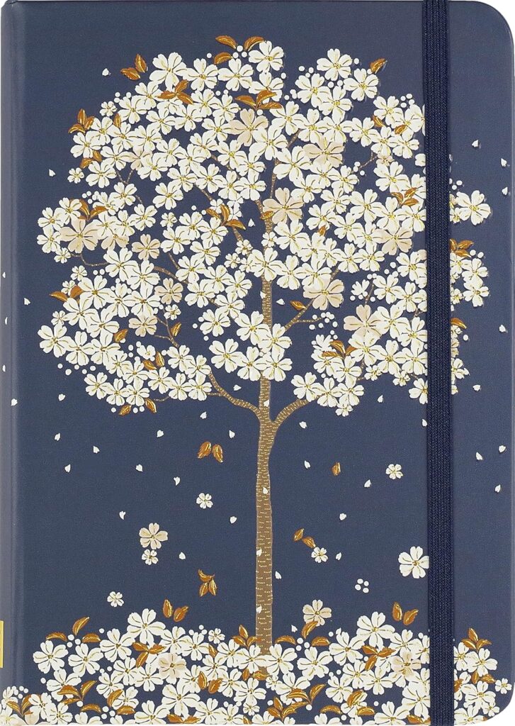 guided reflection journal for daily writing routines designed to support mental clarity emotional regulation and consistent journaling habits for beginners