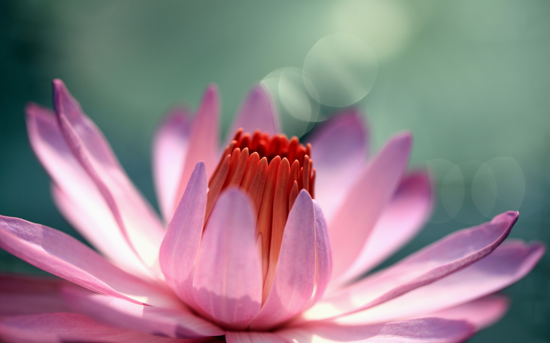 daily high vibrational feminine energy habits that support emotional clarity confidence and gentle routine reset through intentional self care practices